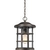 Quoizel Crusade Outdoor Hanging Lantern CSE1910PN